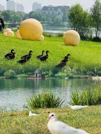 大湖公園值得大家去打卡………