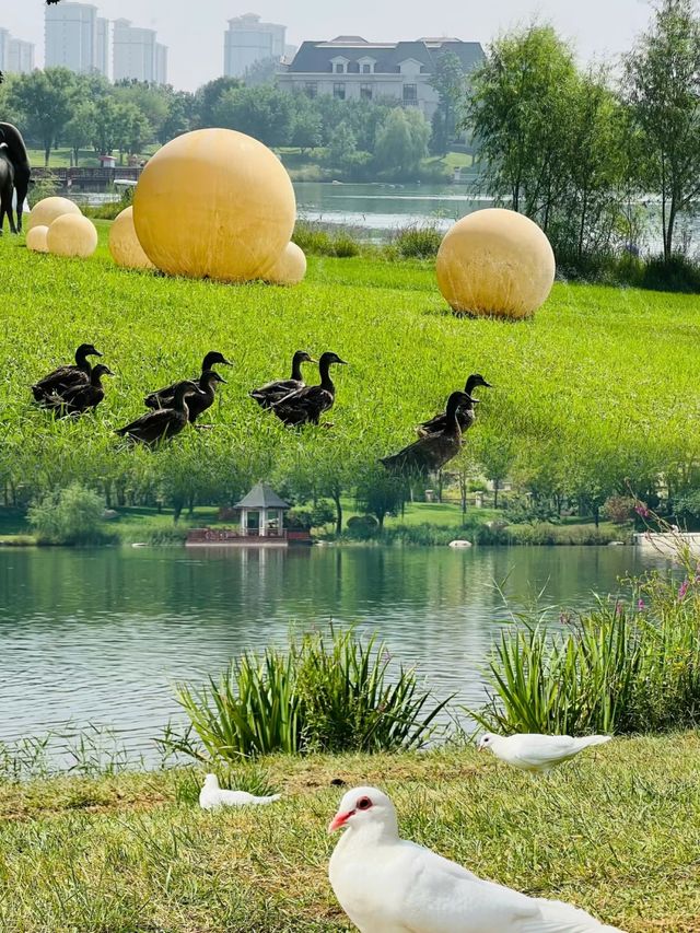 大湖公園值得大家去打卡………