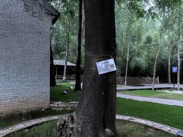竹林水鄉西張趕