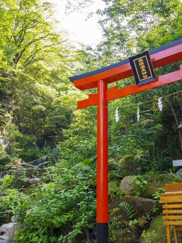 🌟 Hakone's Heavenly Hideaway: Ten-yu's Onsen Oasis 🌟