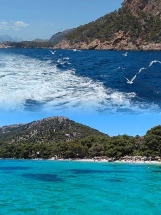 Alcudia Beach, a dream trip