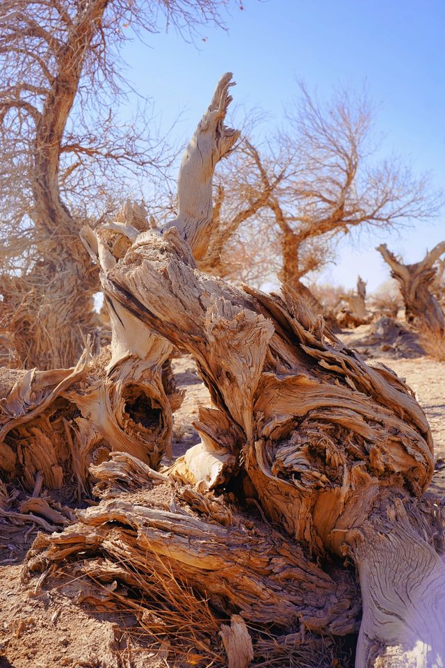 治癒系風景•訴說六千年的守候