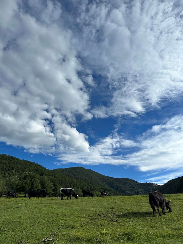 雲南香格里拉||一生必去嘅地方。