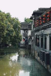 上海一小時達，周末枫泾溜娃落地攻略。