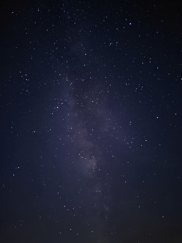 川西的鱼子西傷我千百次！但我還是會再來。