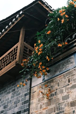 A leisurely stroll through Longli Ancient Town in Jinping County.