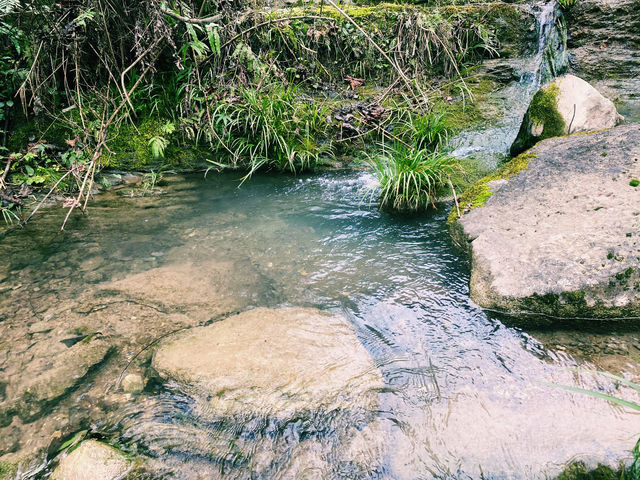 美國西雅圖｜奧林匹克國家公園的自然瑰寶。