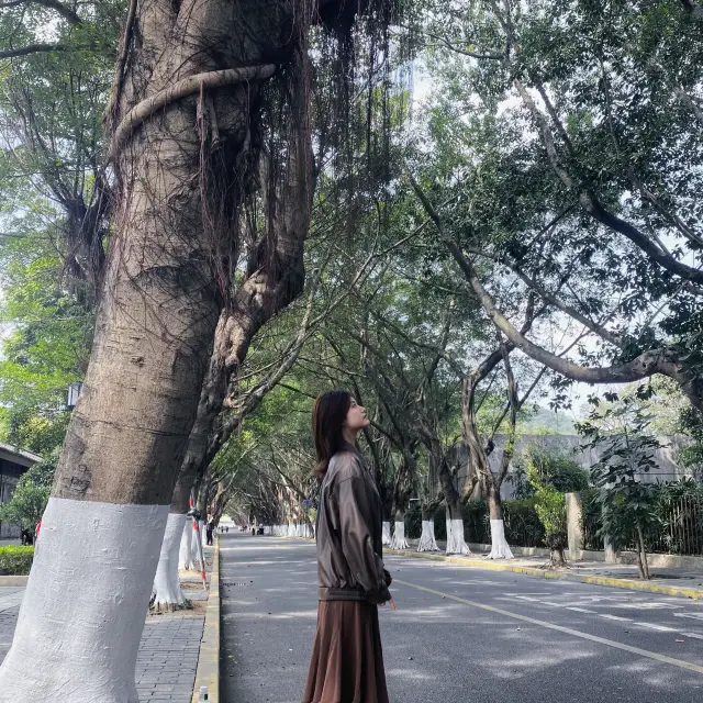 중산 주말 당일치기 여행.