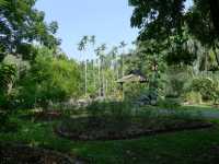 熱帶植物園·樹木園——精緻的樹木王國。