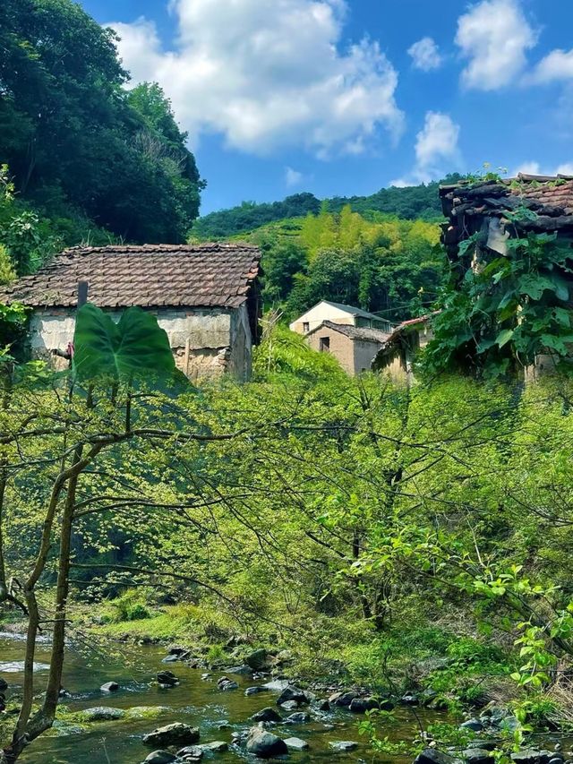 浙江徒步天花板，小泉溪。