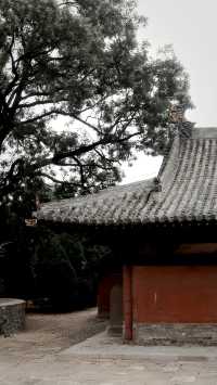在濁漳河欣賞五代壁畫，解鎖最美木構歇山頂。