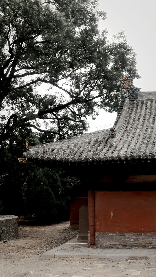 在濁漳河欣賞五代壁畫，解鎖最美木構歇山頂。
