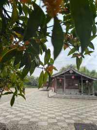 台州第五站——皤灘古鎮憶童年。