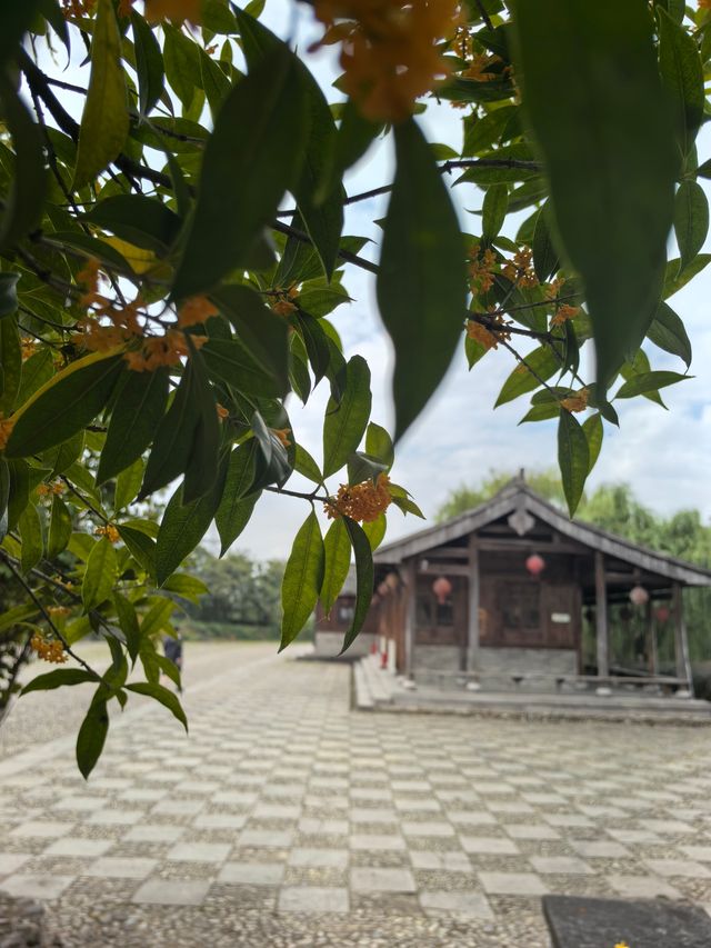 台州第五站——皤灘古鎮憶童年。
