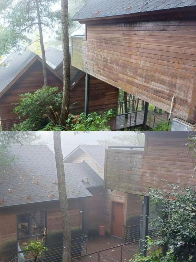 隱於天姥山谷！入住仙俠氣息濃厚的森林樹屋。
