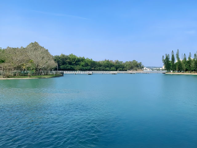 高雄澄清湖：悠閒游湖，盡享自然之美