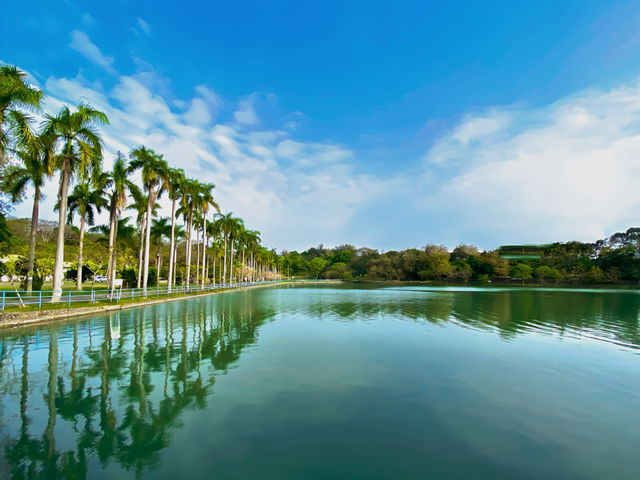 高雄澄清湖：悠閒游湖，盡享自然之美