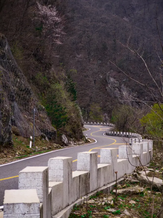 Road trip around Wuhan.