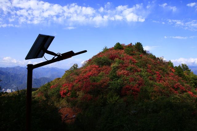 海棠山秋色。