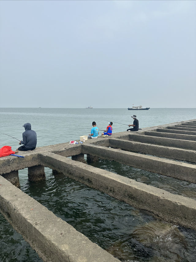 孤東海堤大美海上長城。