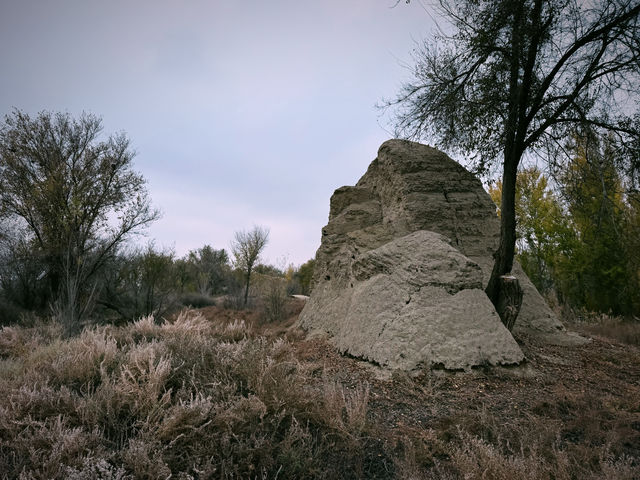 北庭西大寺遺址｜北庭高昌回鶻佛寺遺址。