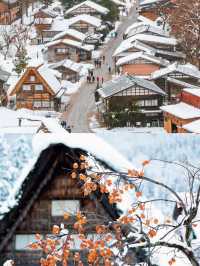 日本名古屋不容錯過的旅行寶典。