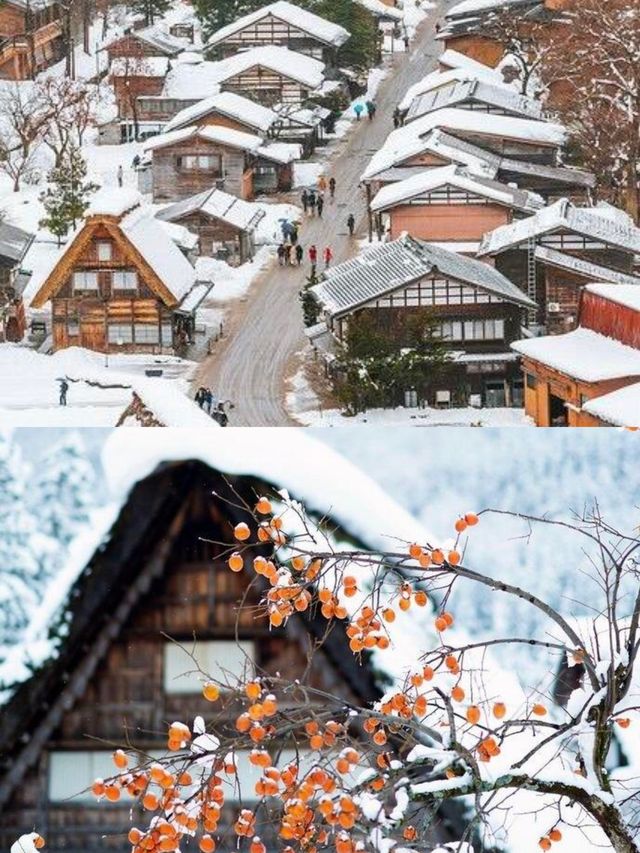 日本名古屋不容錯過的旅行寶典。