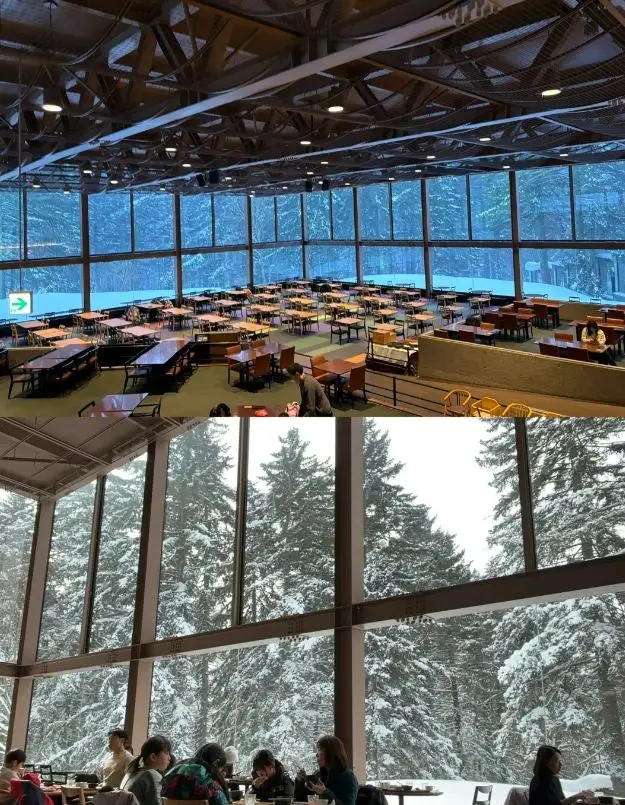 Hokkaido skiing experience.