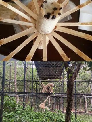 캄보디아, 코콩: 즉흥적인 역사와 자연 모험.