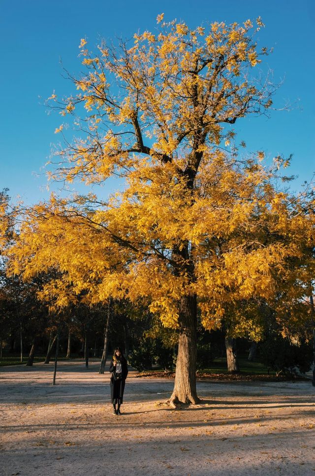 總要看過麗池公園的秋天，再離開馬德里吧。