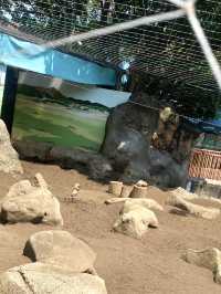 日本°東京ㅣ親子免費近郊好去處ㅣ江戶川區自然動物園。