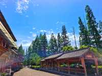 四川省雅安市蘆山縣飛仙關。