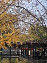 一探北京大觀園夢回紅樓夢中景。