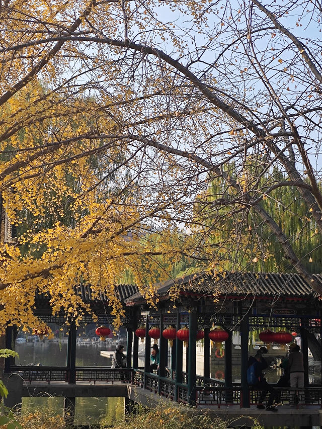 一探北京大觀園夢回紅樓夢中景。