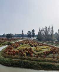 一定要來花開海上生態園！