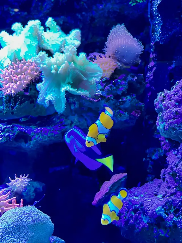 Changsha Underwater World Travel Guide