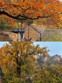 三天兩夜——鞍山之旅，一場奇妙的仙境之旅。