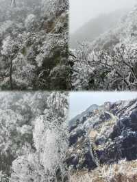 清遠金子山旅遊避雷攻略。