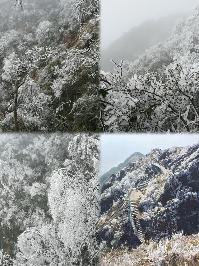 清遠金子山旅遊避雷攻略。