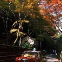京都 ｜紅葉濃度最盛 絕美的嵐山路線