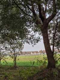 廊下郊野公園。