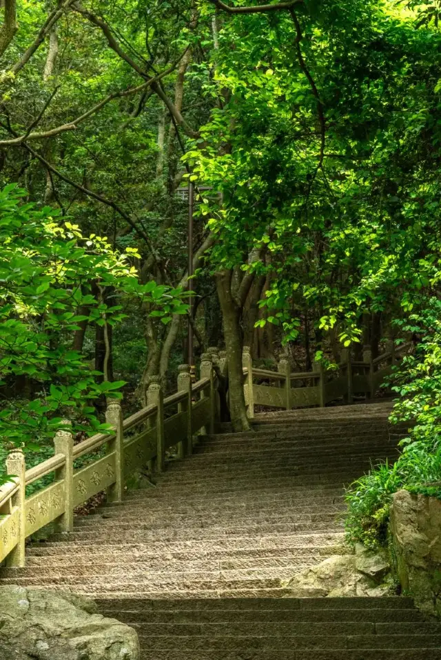 上班壓力大，去普陀山佛頂山爬山豁然開朗