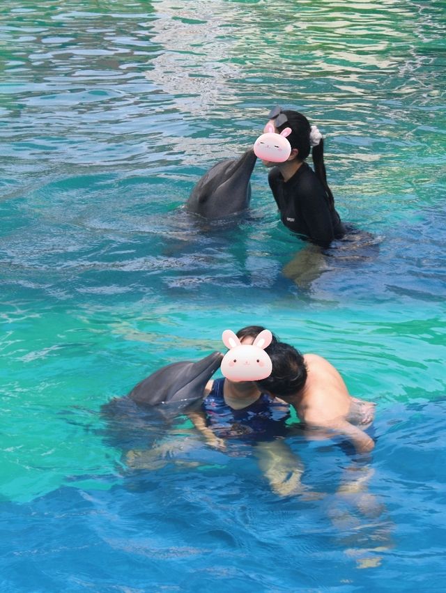 巴厘島海豚樂園，親子遊玩好去處