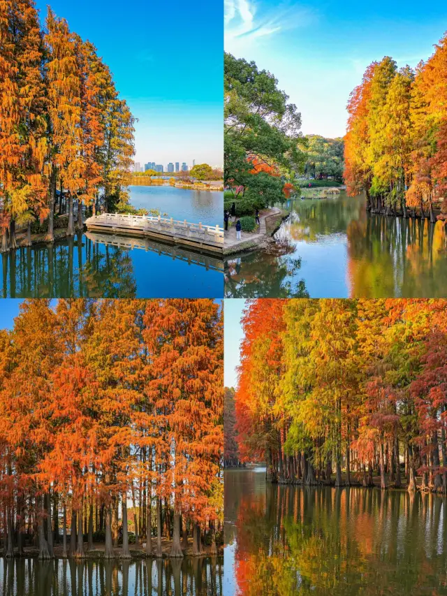 Must-visit in December! 2-day 1-night Wuxi travel guide!