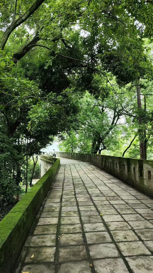 一個冷門又有趣的城市，高鐵直達隨便去