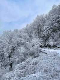 秦嶺雪國專列：邂逅冬日奇境的夢幻車票