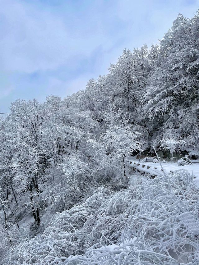秦嶺雪國專列：邂逅冬日奇境的夢幻車票