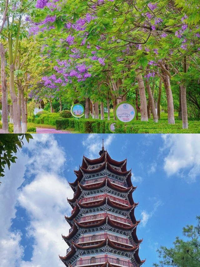 一個被人遺忘的寶藏之地