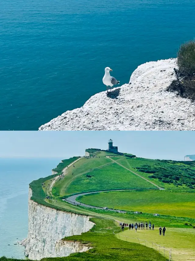 "National Geographic didn't lie to me" I really reached the end of the world, White Cliffs