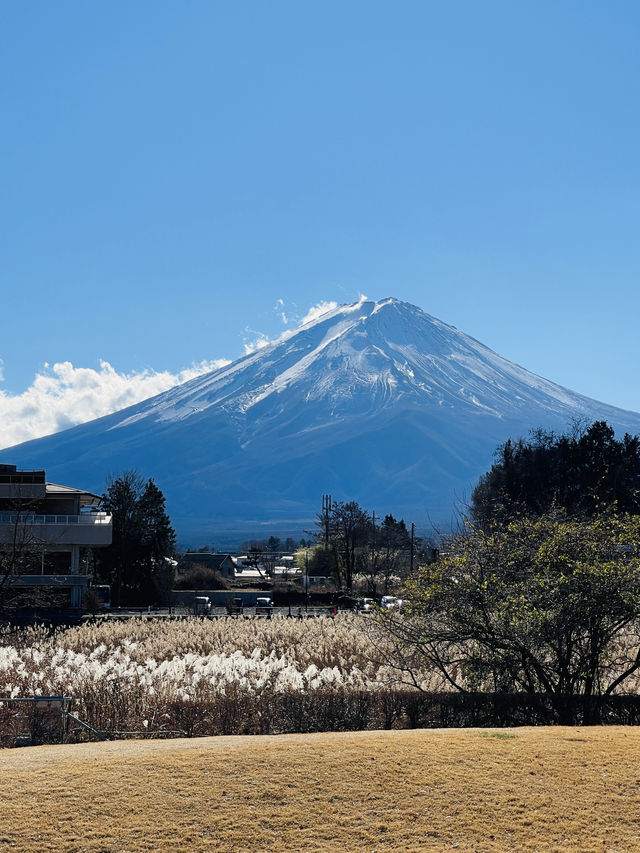 日本·靜岡縣